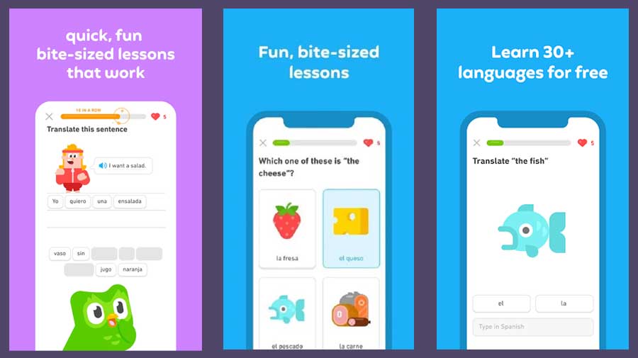 Duolingo Mod APK Download